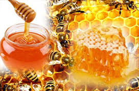manfaat madu alami untuk pengobatan